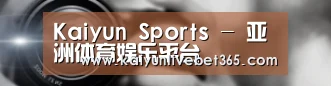 公司动态