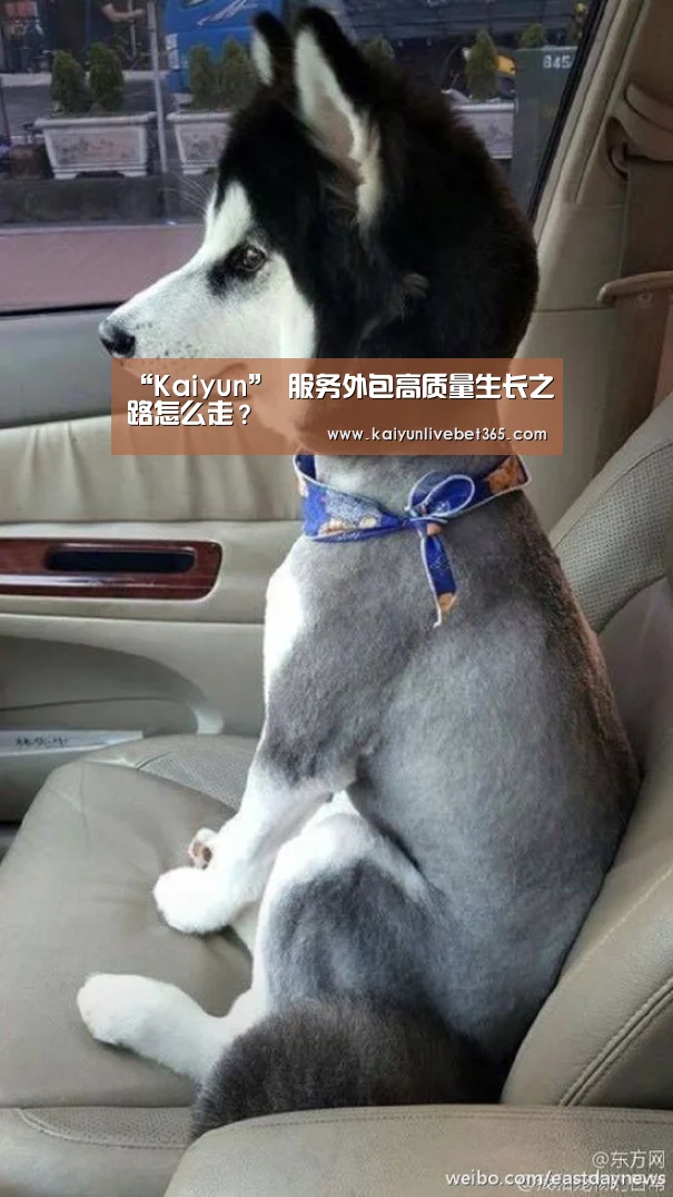 “Kaiyun”
服务外包高质量生长之路怎么走?(图2) 开云体育