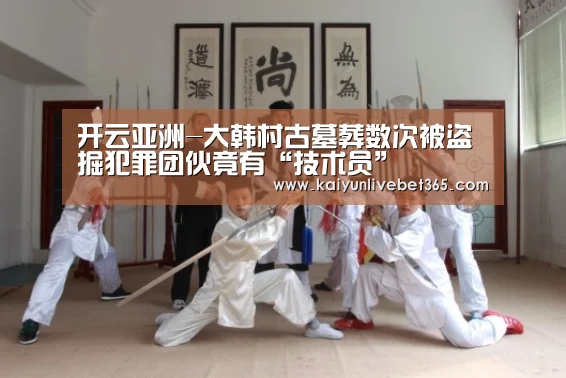 开云亚洲-大韩村古墓葬数次被盗掘犯罪团伙竟有“技术员”(图1) 开云平台