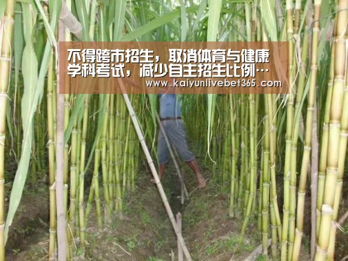 开云平台