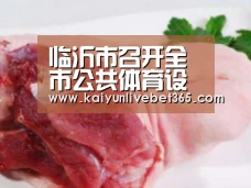 临沂市召开全市公共体育设施和社会足球场建设专项调度会议【Kaiyun】(图2) 开云亚洲
