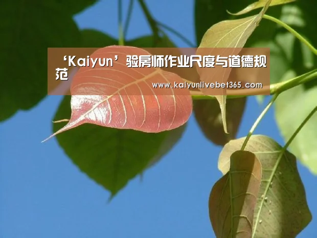 ‘Kaiyun’验房师作业尺度与道德规范(图3) 开云亚洲