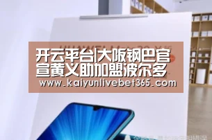 开云平台|大阪钢巴官宣黄义助加盟波尔多(图1) 开云平台|大阪钢巴官宣黄义助加盟波尔多(图1)